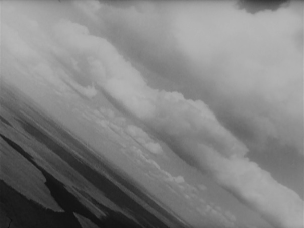 Longing for the freedom of the sky.